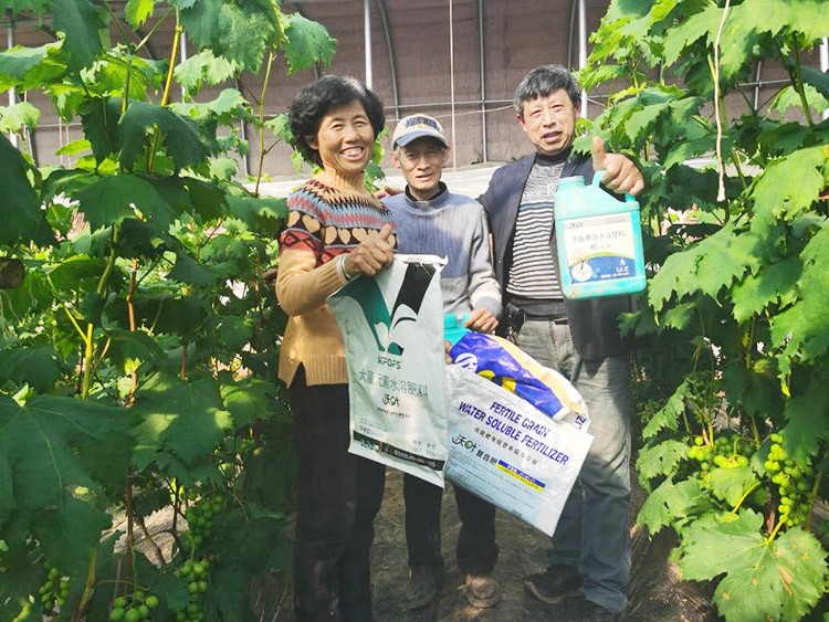 葡萄萌芽期管理技術(shù)在這里，值得收藏！