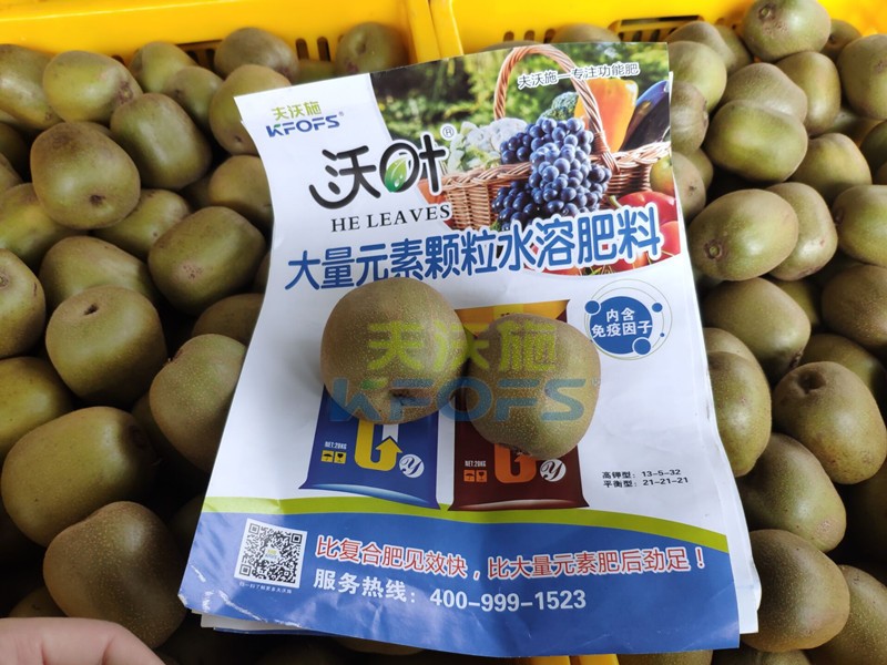 獼猴桃用哪款顆粒水溶肥產(chǎn)量高？