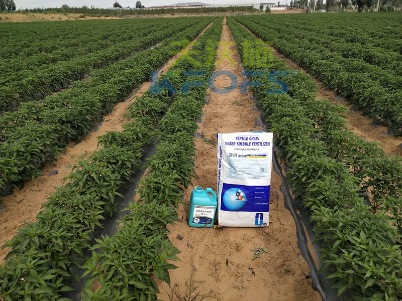 水溶肥怎么用效果好？你不一定知道！