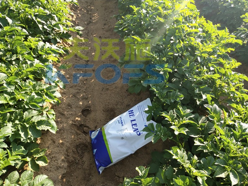 8年種植經(jīng)驗(yàn)老農(nóng)說，種土豆用什么肥料好！