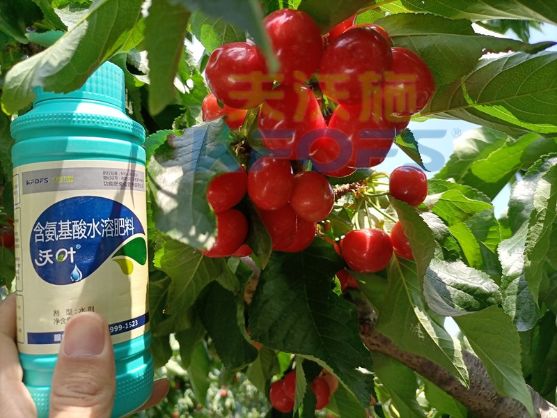 這款水溶肥，種植戶都愿意長期使用！