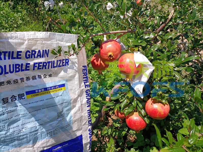 水溶肥是什么肥料，這么受歡迎？