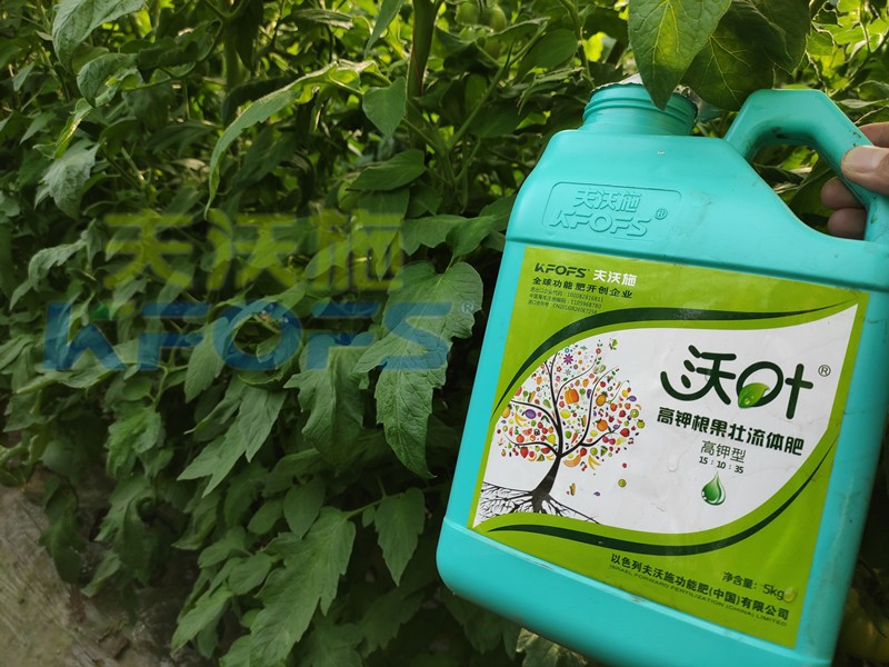 進(jìn)口水溶肥沃葉，值不值得選？