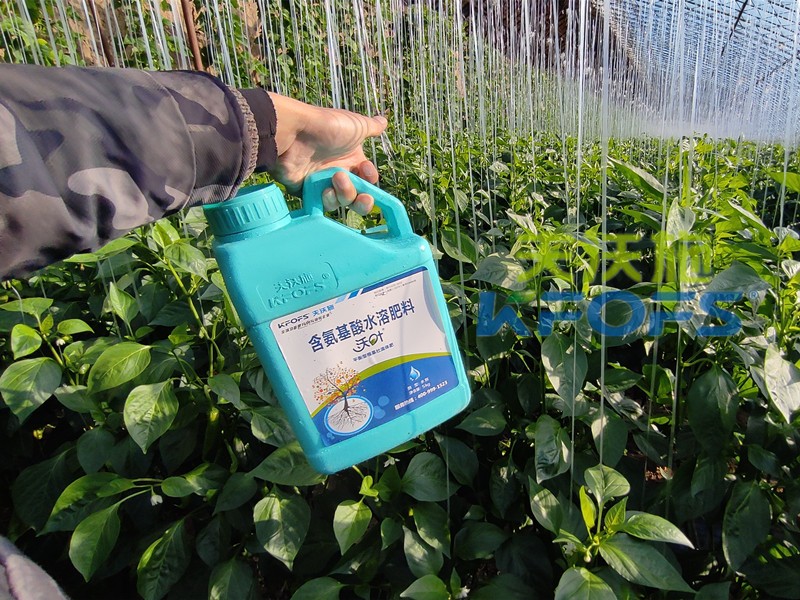 水溶肥一袋多少錢？哪個品牌值得選？