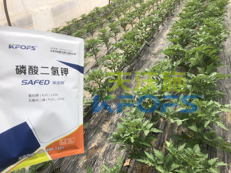 好的磷酸二氫鉀是什么樣的？