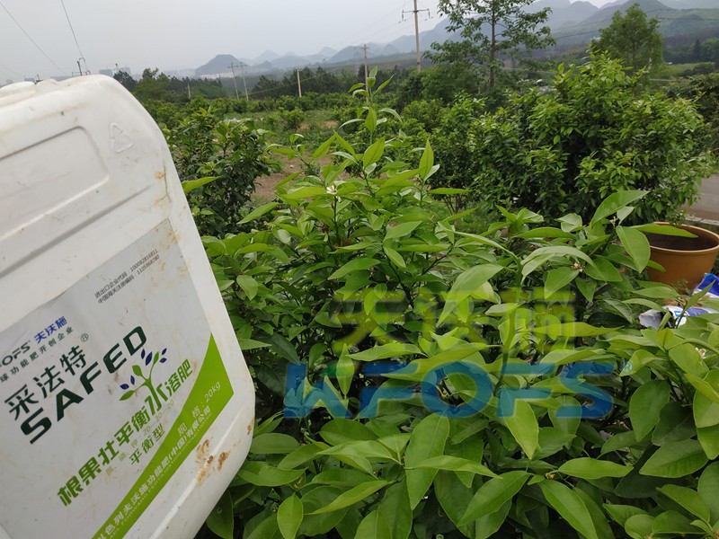 水溶肥的合理價(jià)格究竟如何判斷？這幾點(diǎn)很重要！