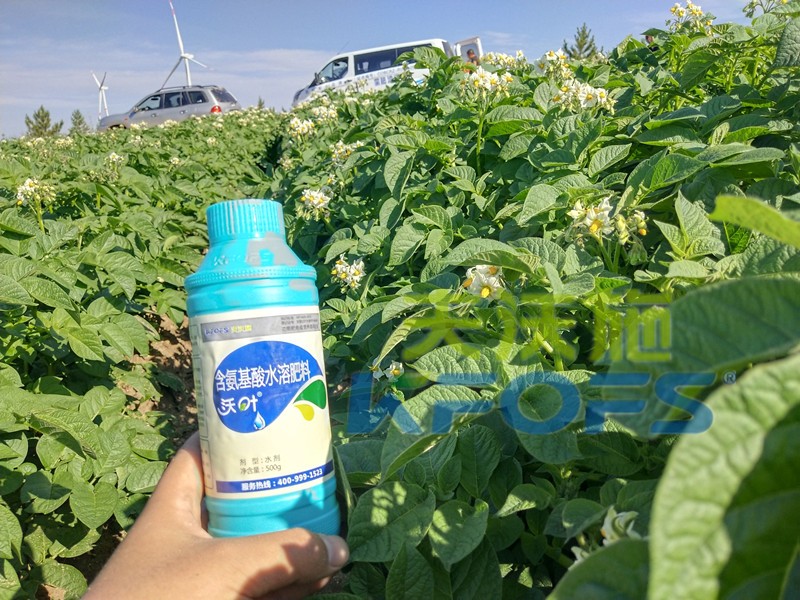 葉面肥價(jià)格不一，如何選？