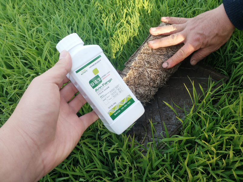 氨基酸水溶肥如何有效解除作物藥害？