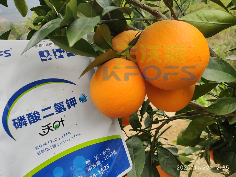 水溶肥市場雜亂無章，種植朋友該選什么樣的產品？