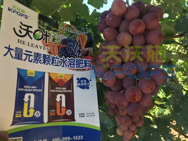 果樹沖施肥怎么樣沖，才能有好效果呢？