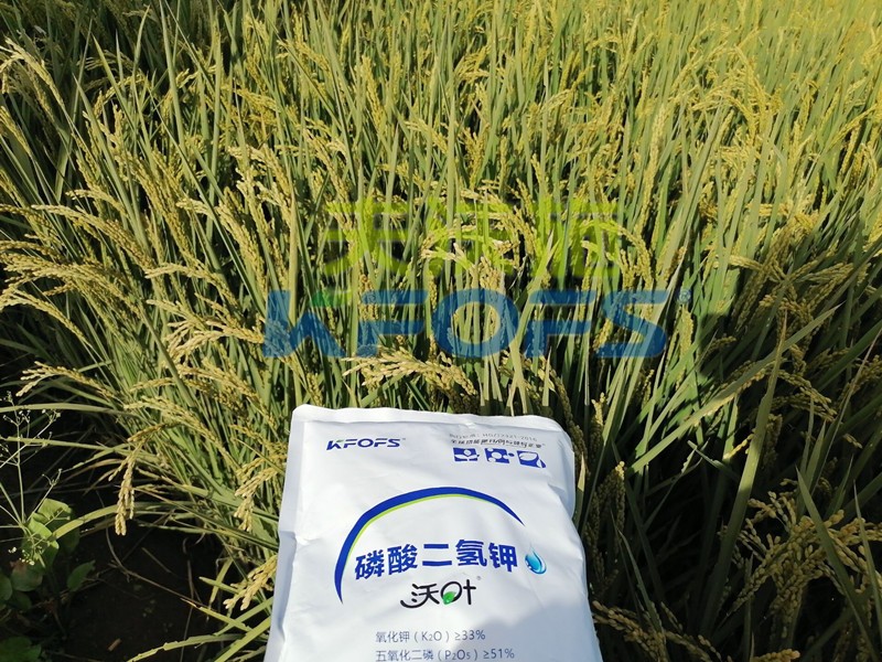 你知道磷酸二氫鉀什么牌子好嗎？