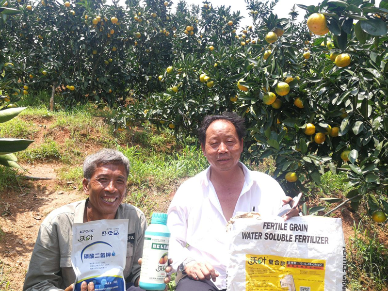 農(nóng)副產(chǎn)品核心競爭力，這篇告訴你怎么提升！