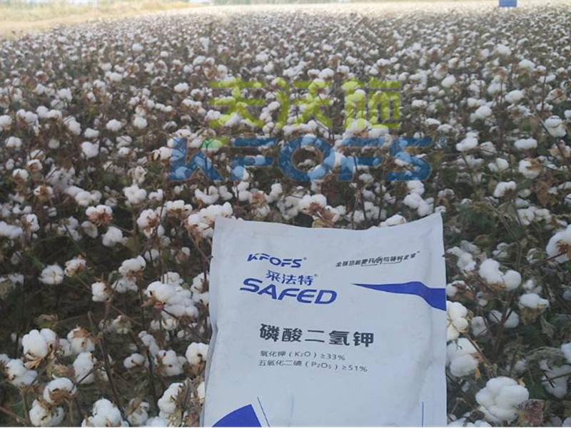 水溶肥哪家好？楊老板說(shuō)他只信賴(lài)采法特！