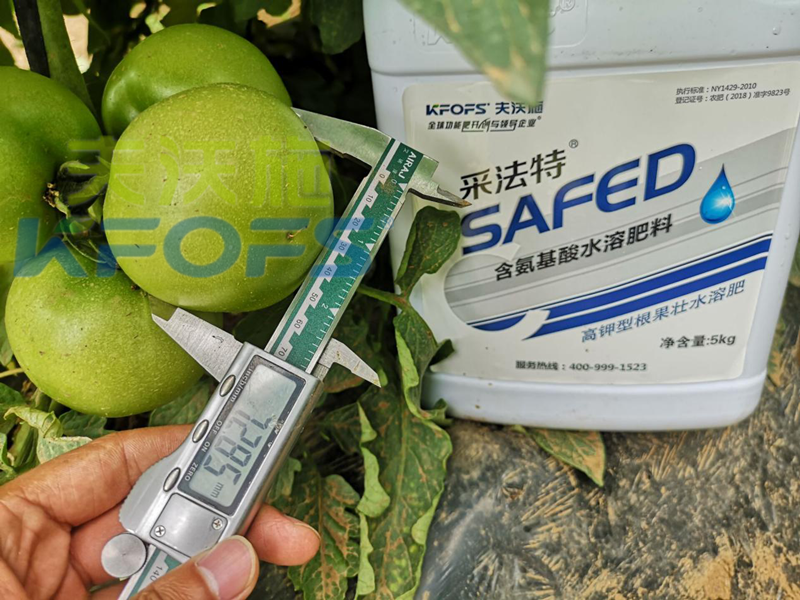 大棚蔬菜冬季用什么肥？