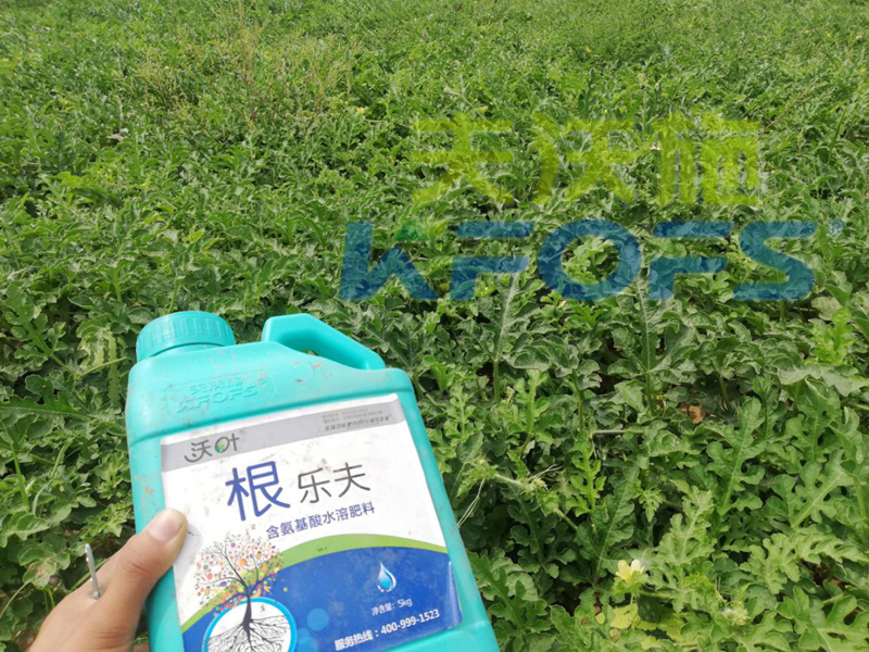 生根劑用多了燒根嗎？