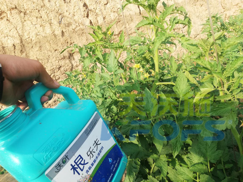 生根劑用多了燒根嗎？