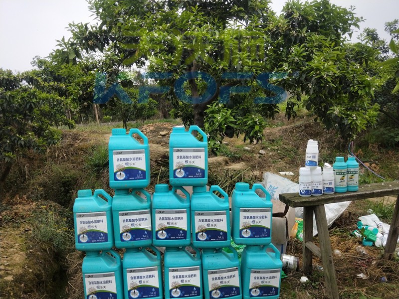 水溶肥在柑橘上怎么使用效果好，一定要收藏