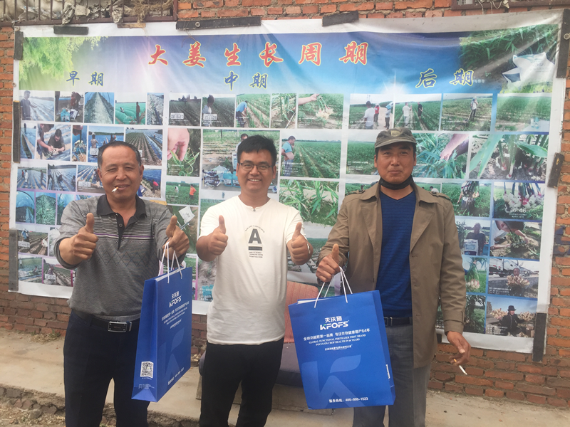 水溶肥料合理搭配讓大姜長勢健壯