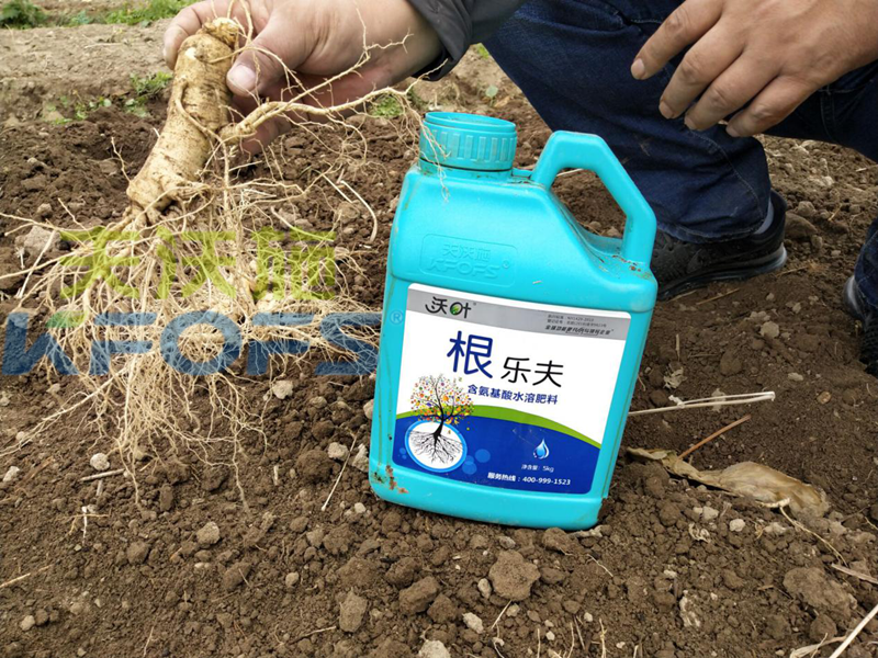 沃葉水溶肥怎么樣？聽聽種植戶的回答