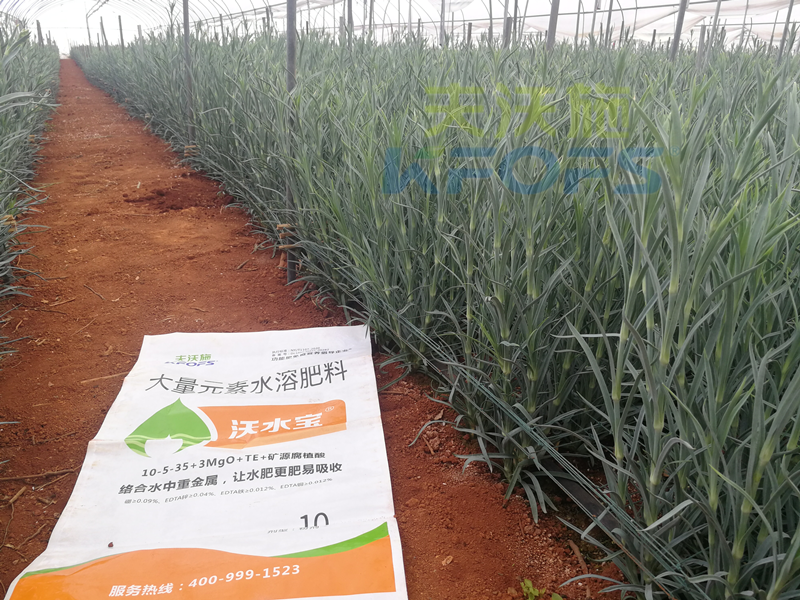 進(jìn)口水溶肥真的好過(guò)國(guó)產(chǎn)嗎-沃水寶大量元素.png
