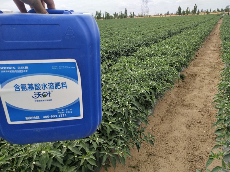 沖施肥的施用技巧有哪些？