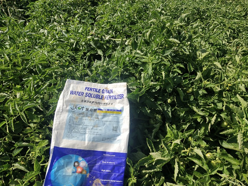 水溶肥這樣用效果好，你知道嗎？