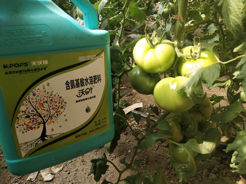 水溶肥哪個品牌好？看種植戶怎么說！