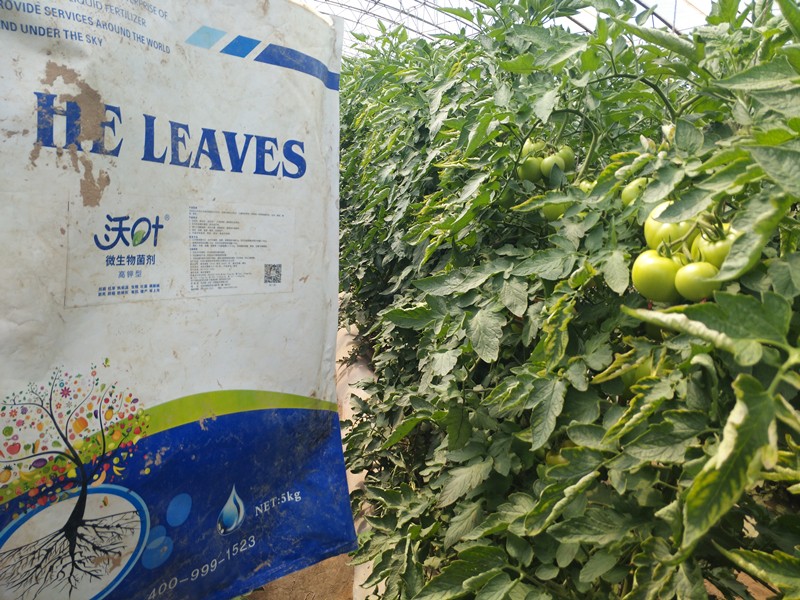 微生物菌劑哪家好？別上當了