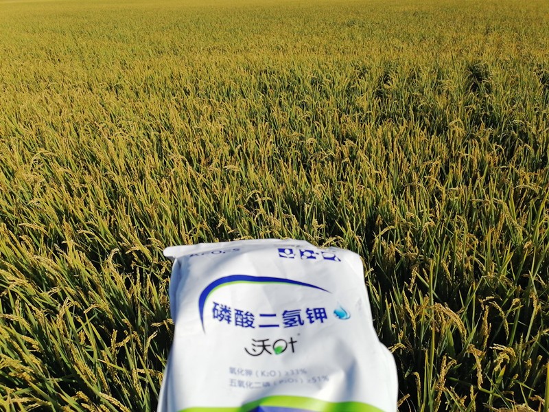 三分鐘看懂磷酸二氫鉀哪個(gè)品牌好！