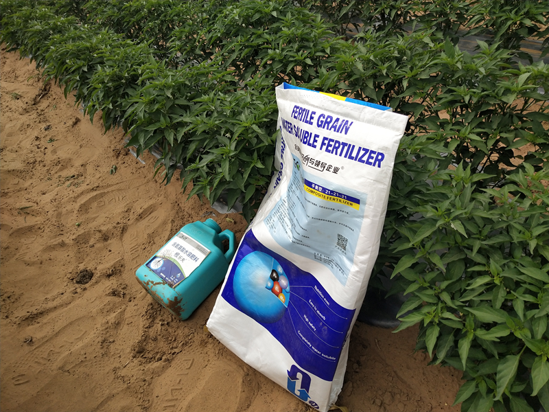 顆粒水溶肥哪個(gè)牌子好？趙哥推薦沃葉
