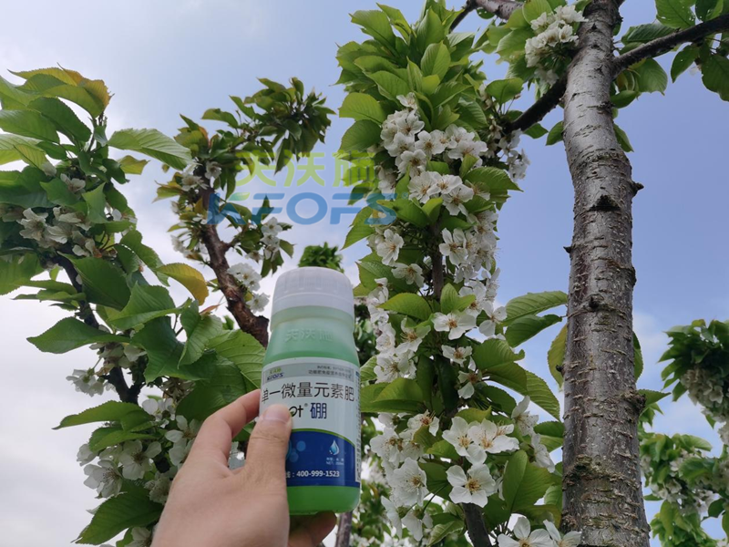 ?；ū９~面肥怎么用效果好？