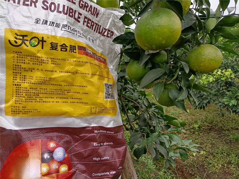 顆粒水溶肥-柑橘用沃葉顆粒水溶肥效果1.jpg