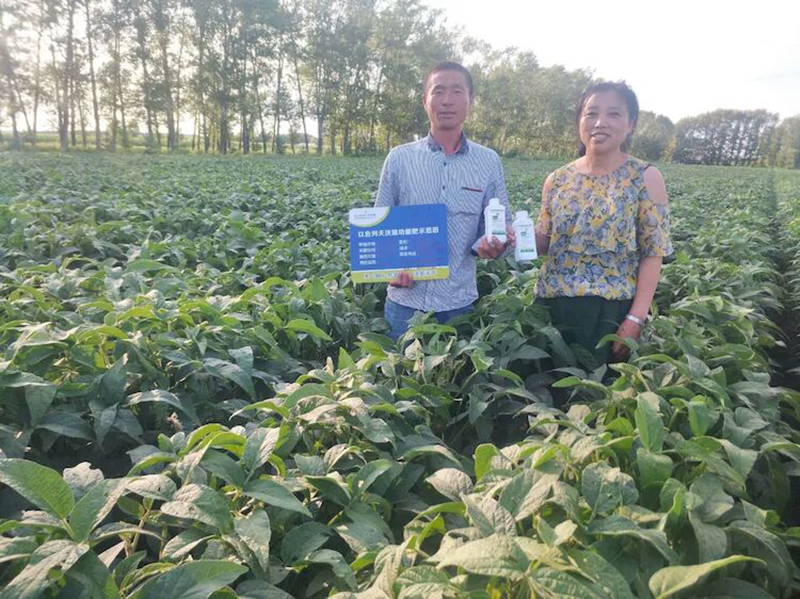大豆使用安法戈除草劑安全防控劑效果.png