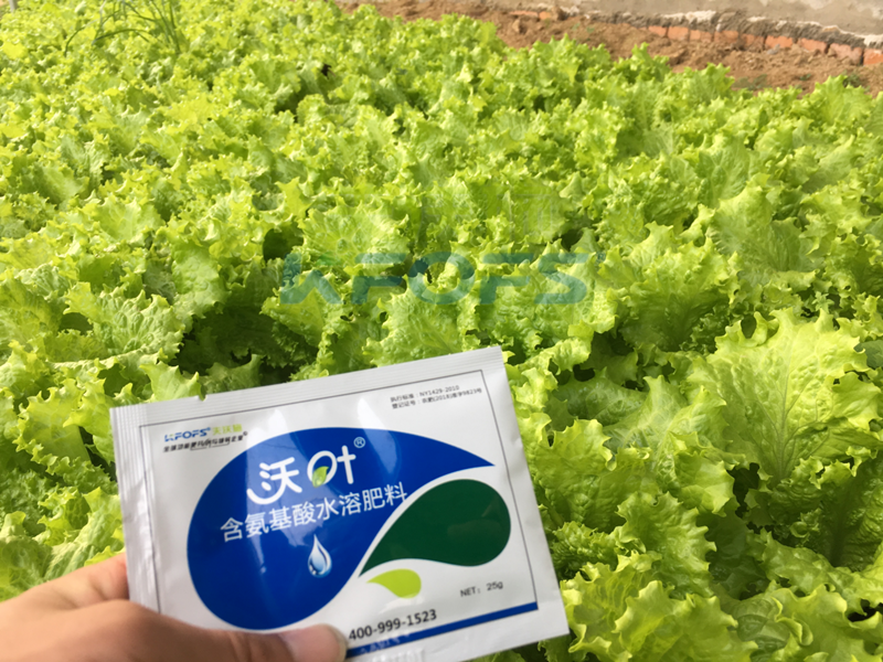 葉面肥哪個(gè)好?夫沃施沃葉不要錯(cuò)過(guò)!