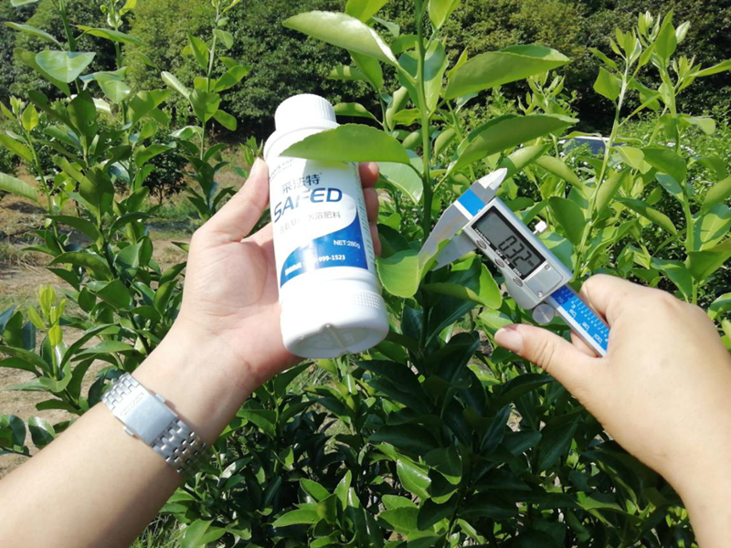 柑橘水溶肥哪個(gè)牌子好?基地老板這樣說