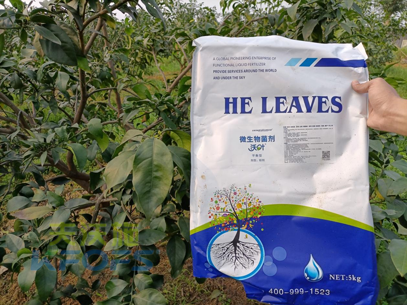 氨基酸水溶肥是怎么防御“倒春寒”的？