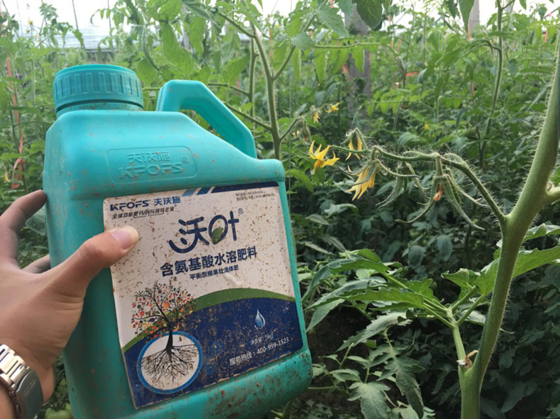 水溶肥如何在冬季使用？