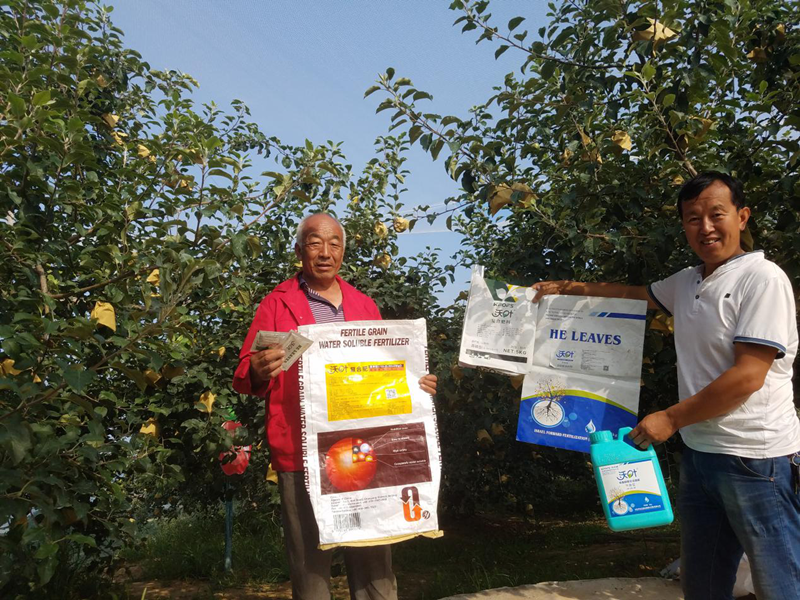 什么沖施肥好？