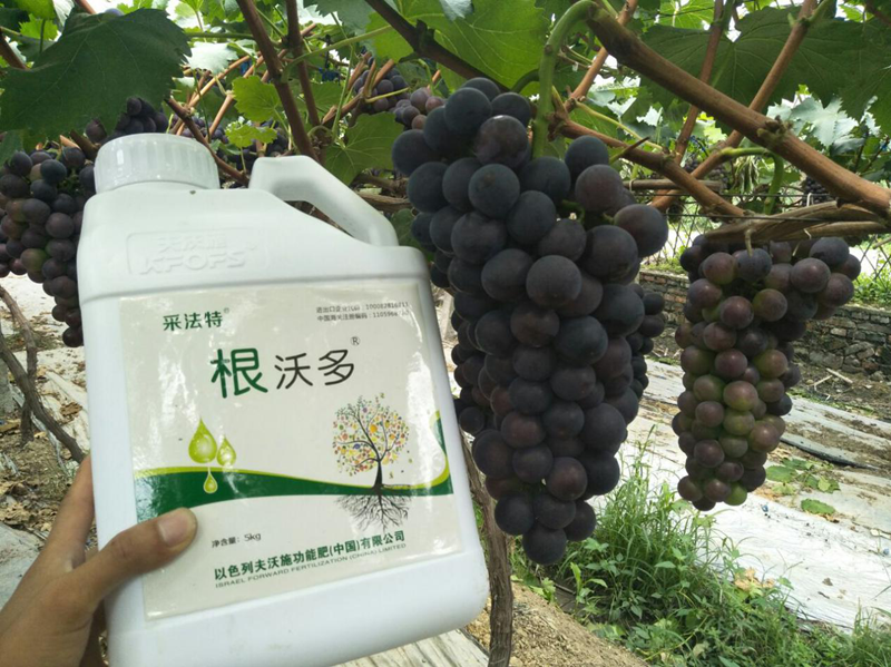 生根劑哪個(gè)好？養(yǎng)根護(hù)根很關(guān)鍵！