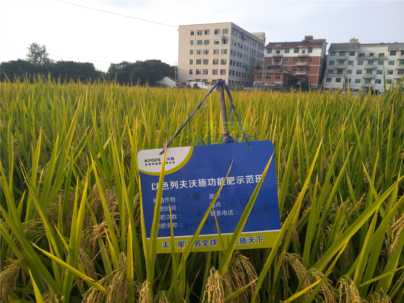 磷酸二氫鉀究竟好在哪里?到底應該怎么用!