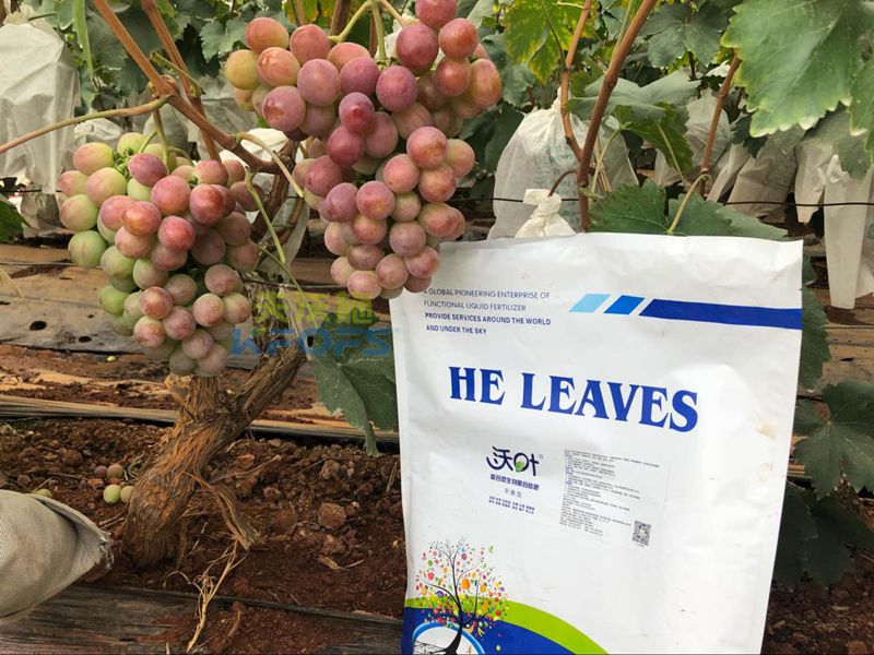 微生物菌劑好在哪里？