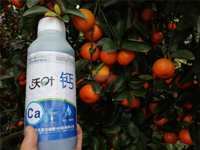 葉面鈣肥什么牌子的好