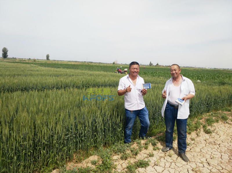 肥料價格的差距給作物帶來了什么樣的差距？