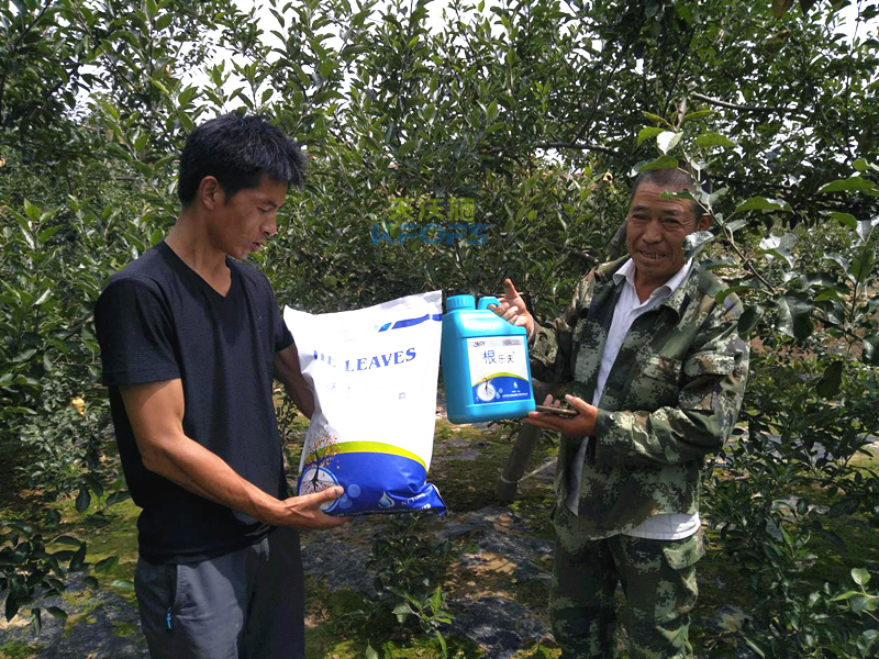 什么樣的水溶肥安全可信賴