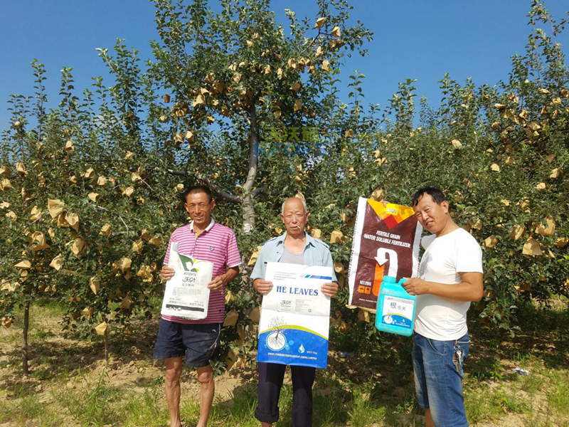 什么樣的水溶肥安全可信賴？