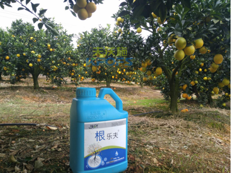 如何正確使用生根劑？