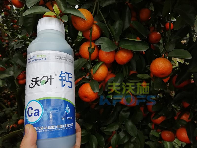 種柑橘用什么肥料好？