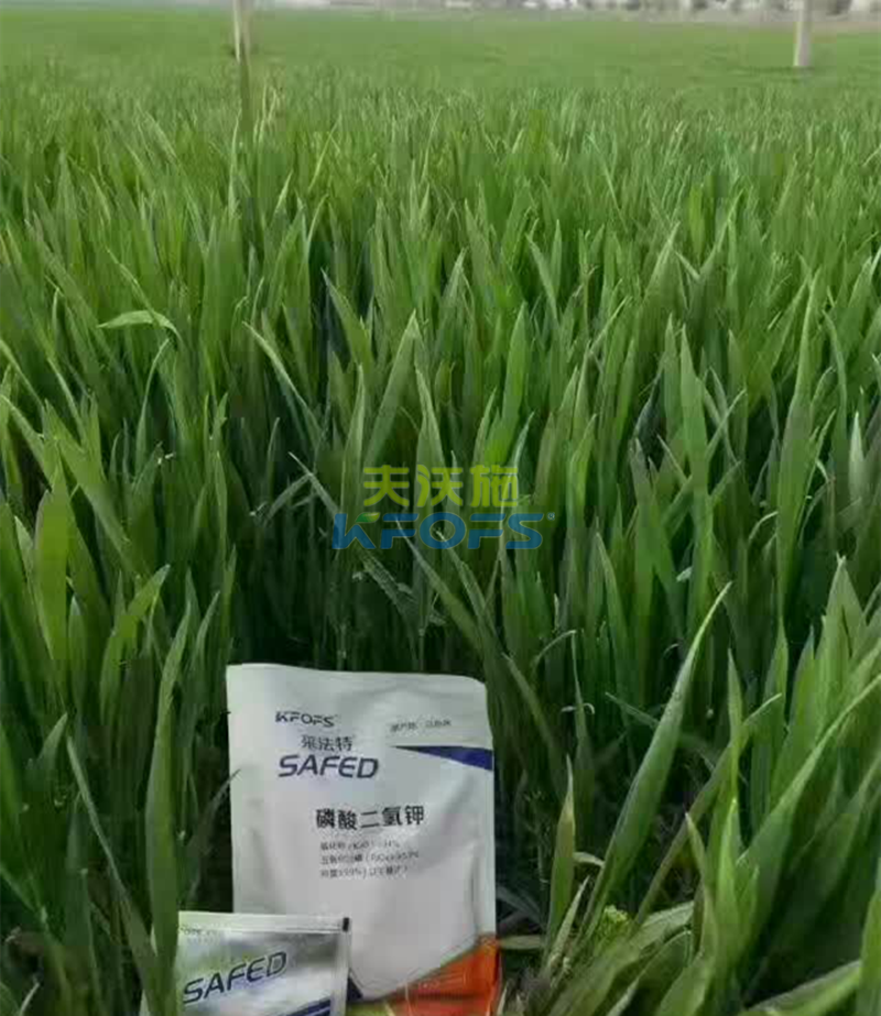 何為好的磷酸二氫鉀？