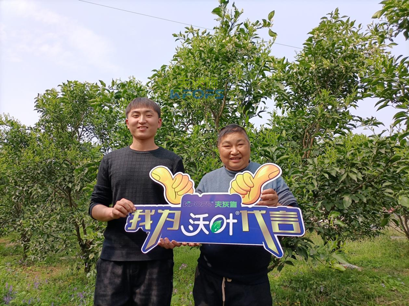 水溶肥廠家哪家好？張總認準(zhǔn)夫沃施！