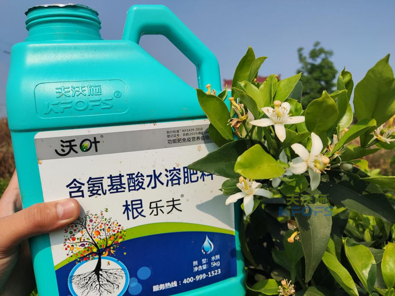 水溶肥廠家哪家好-沃葉根樂(lè)夫柑橘.png